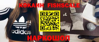 крисы Кулебаки