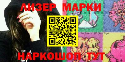 крисы Кулебаки