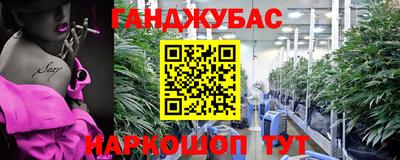 крисы Кулебаки