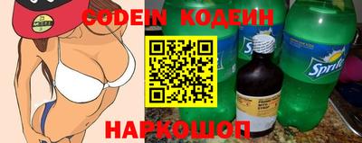 крисы Кулебаки