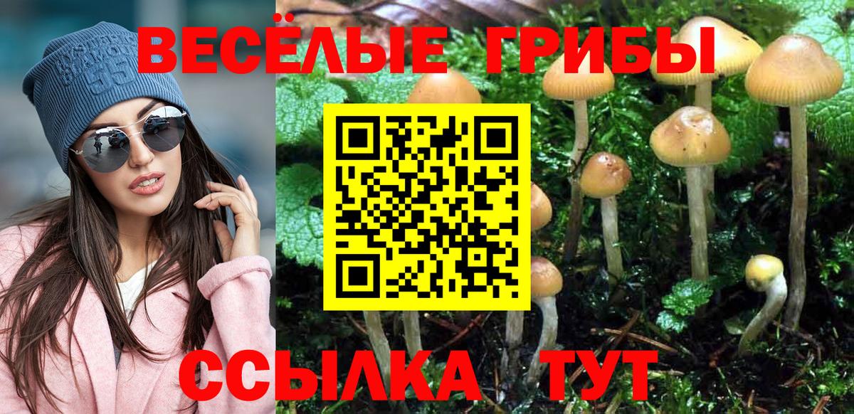 Псилоцибиновые грибы ЛСД Чистополь