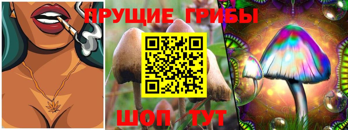 Чистополь  магазин продажи   Вход с VPN  Галлюциногенные грибы мухоморы 